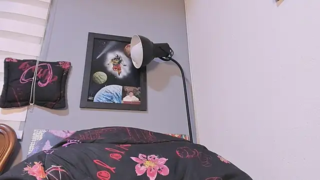 damn fox online show from 19, 12, 2024