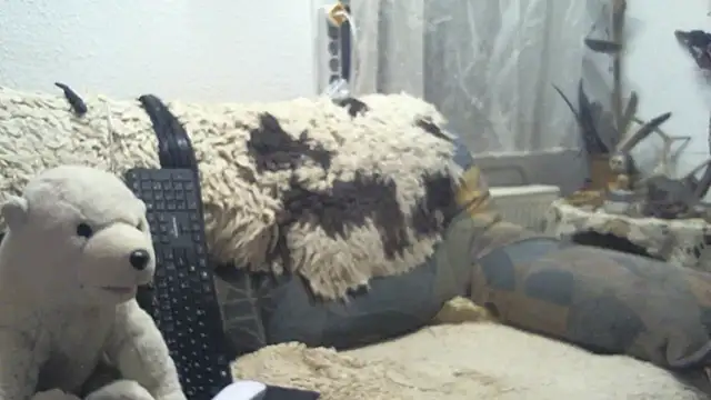 SexySantaC online show from 16, 12, 2025