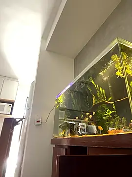 Ravixx online show from 11, 1, 2026