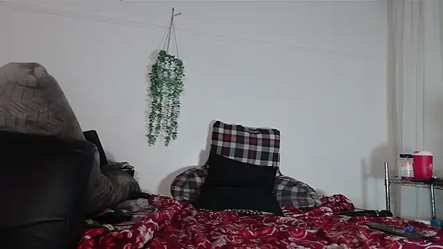 VANESSADDD online show from 14, 2, 2025