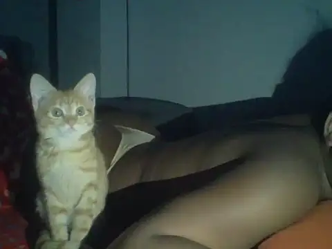 val5 online show from 17, 1, 2026