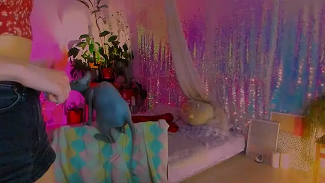 poli   online show from 6, 2, 2025