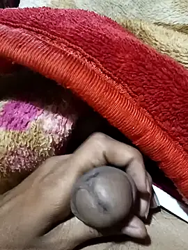 Play boy11 online show from 16, 11, 2025