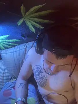 Snapshot of bugboy chatting on 19, 2, 2026 bugboy online show from 19, 2, 2026