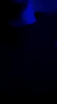 Snapshot of Midwestalpha chatting on 6, 1, 2025 Midwestalpha online show from 6, 1, 2025