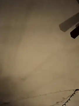 Snapshot of Midwestalpha chatting on 21, 2, 2025 Midwestalpha online show from 21, 2, 2025