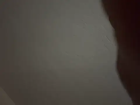 Terrafirma online show from 20, 4, 2026