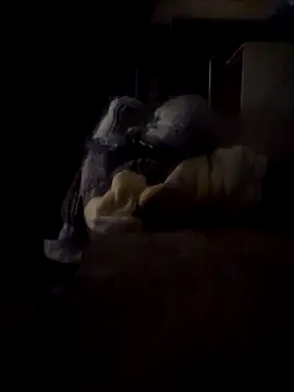 Daza67 online show from 4, 3, 2026