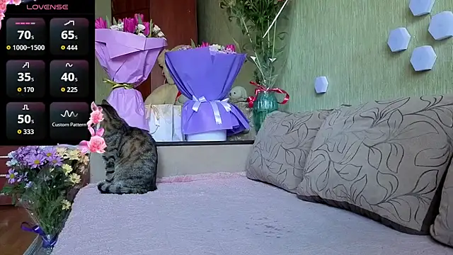 Miss Flexi fit online show from 8, 3, 2026