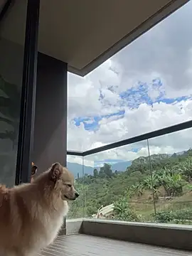 Helenbronwx online show from 6, 1, 2025