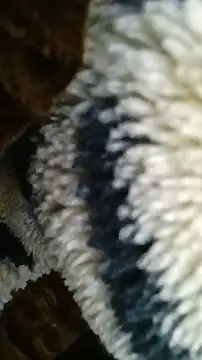 Bigcockmexi13 online show from 30, 6, 2026