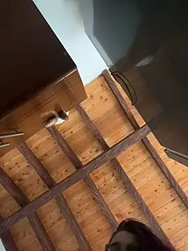 Alicia Ruiz online show from 12, 12, 2024