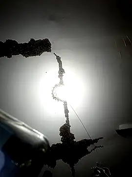 ColdVisitor online show from 6, 2, 2026