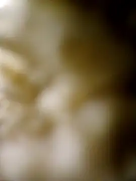 JObuddy661 online show from 16, 1, 2026