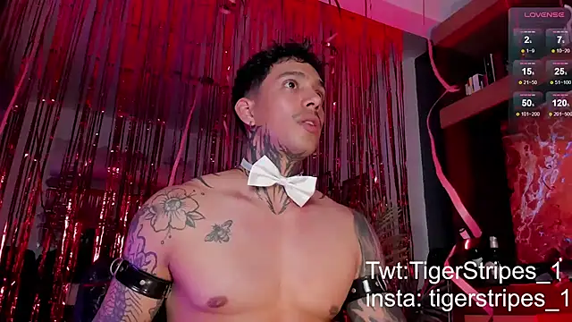 Snapshot of TigerStripes1_ chatting on 15, 2, 2025 TigerStripes1 online show from 15, 2, 2025