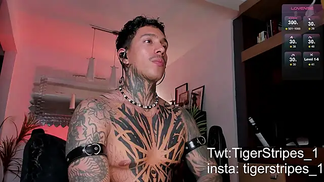 Snapshot of TigerStripes1_ chatting on 22, 2, 2025 TigerStripes1 online show from 22, 2, 2025