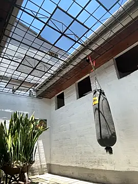 oliver price1 online show from 9, 9, 2025