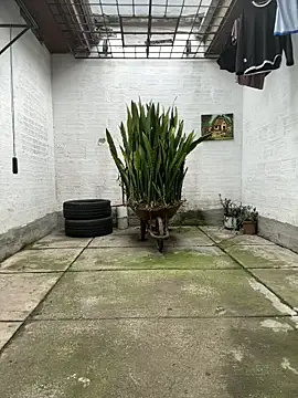 oliver price1 online show from 13, 11, 2025