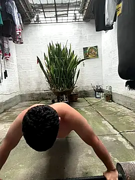 oliver price1 online show from 17, 12, 2025